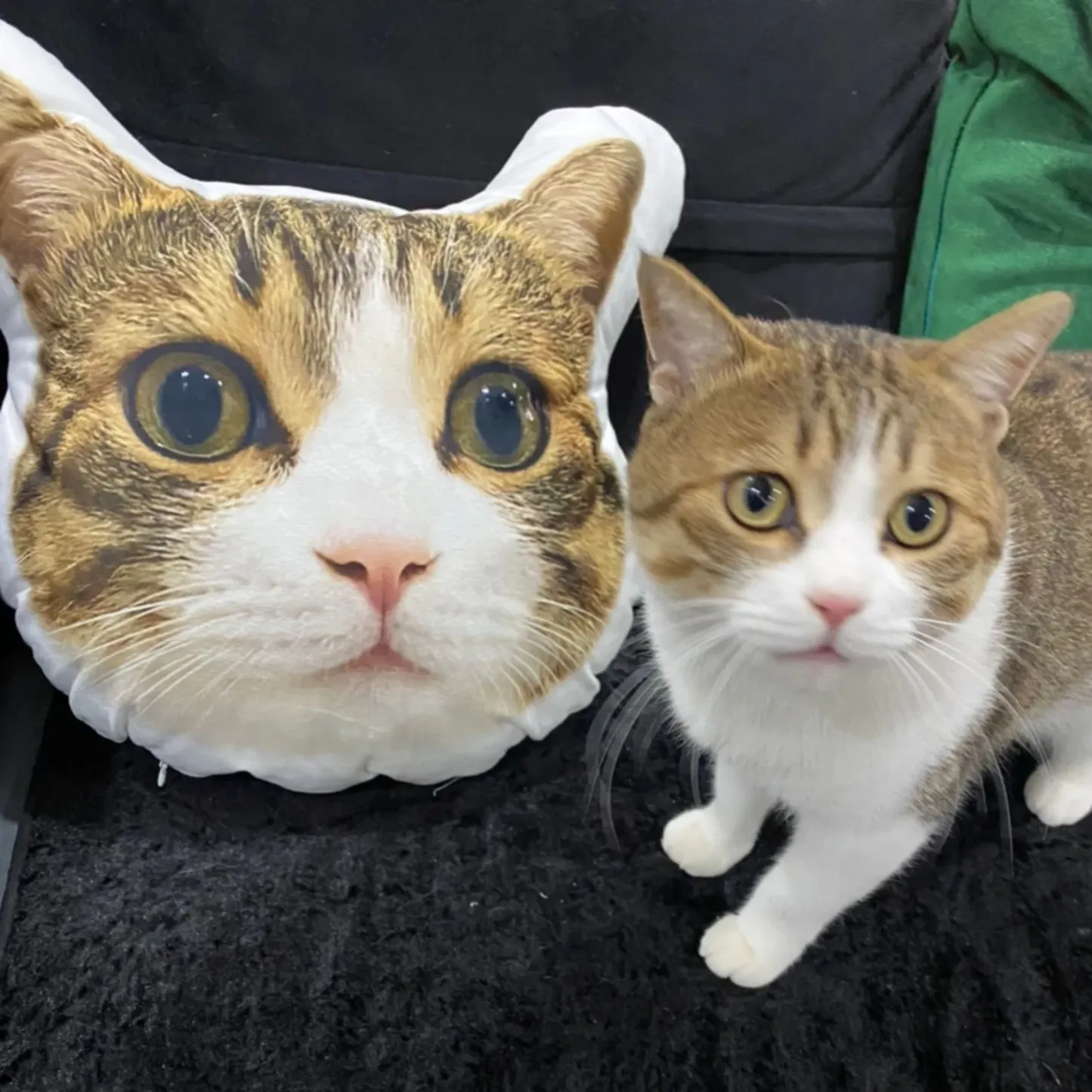 Custom Pet 3D Pillow Personalised Pet Head Face Plush Pillow Funny Home Decor