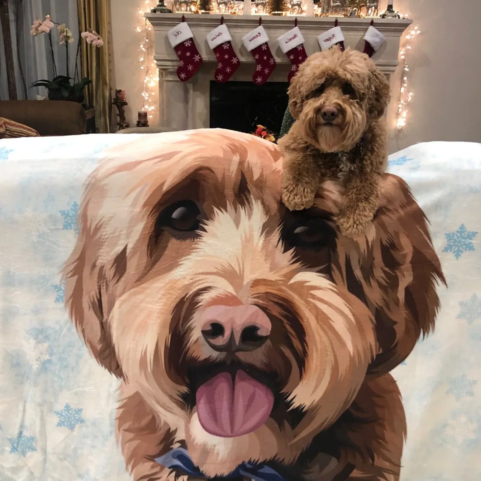 Custom Pet Portrait Blankets from Photo Personalised Dog Picture and Name Blanket Cute Cozy Christmas Gift for Pet Lovers