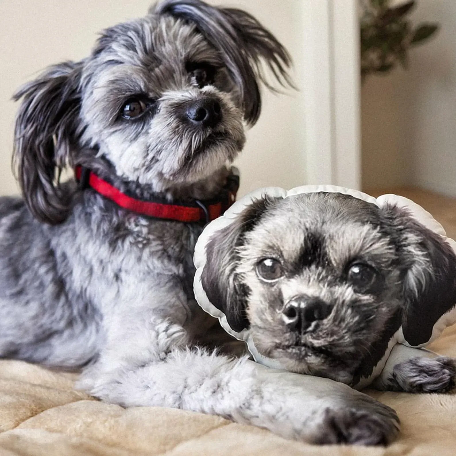 Custom Pet 3D Pillow Personalised Pet Head Face Plush Pillow Funny Home Decor