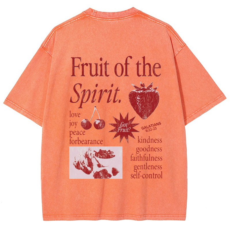 Fruit Of The Spirit Vintage Snowflake Washed T-Shirt-moweekender