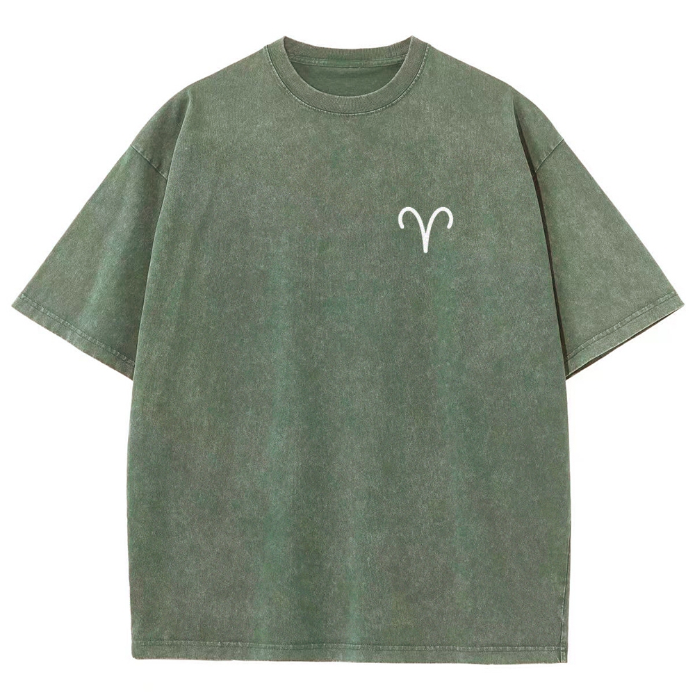 Aries Unisex Fit Washed T-Shirt