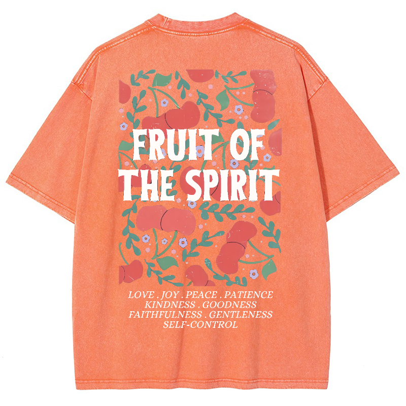 Fruit Of The Spiri Vintage Snowflake Washed T-Shirt-moweekender