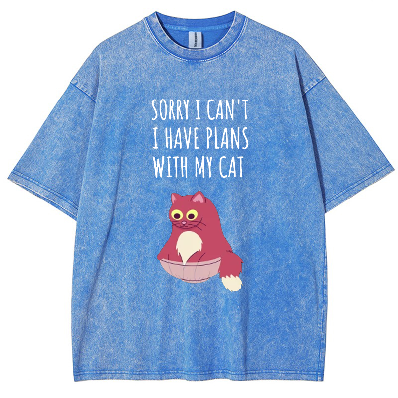 Sorry I Can't I Have Plans With My Cat Vintage Snowflake Washed T-Shirt-moweekender