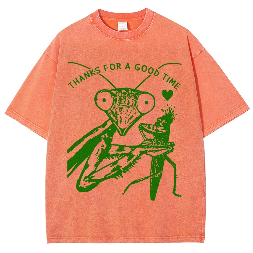 Thanks For A Good Time Vintage Snowflake Washed T-Shirt-moweekender