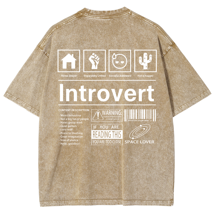 Introvert Label Wall Unisex Fit Washed Oversized T-Shirt-moweekender