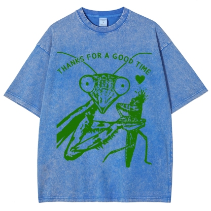Thanks For A Good Time Vintage Snowflake Washed T-Shirt-moweekender