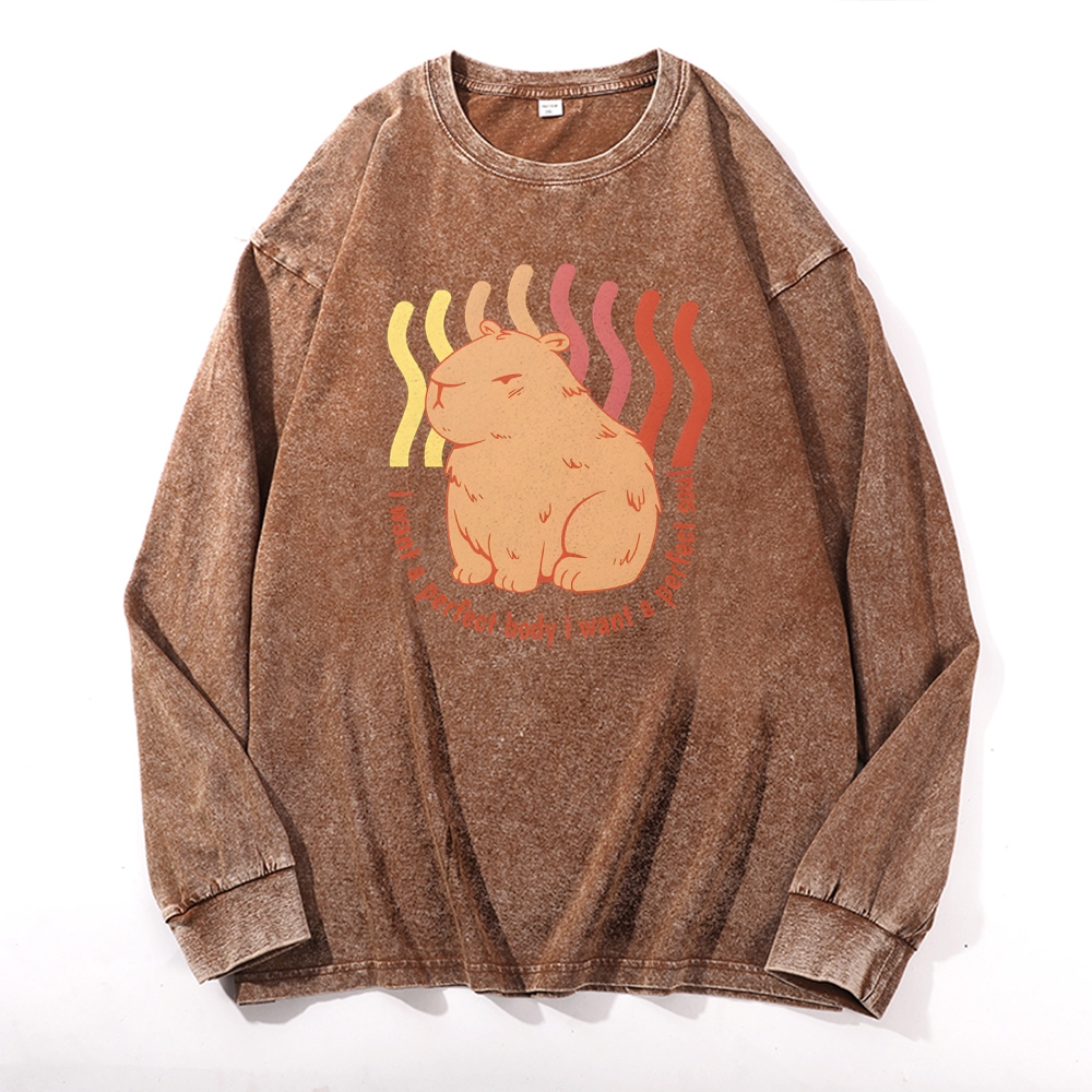 Capybara Casual Deep Washed Vintage Long Sleeves T-Shirt-moweekender