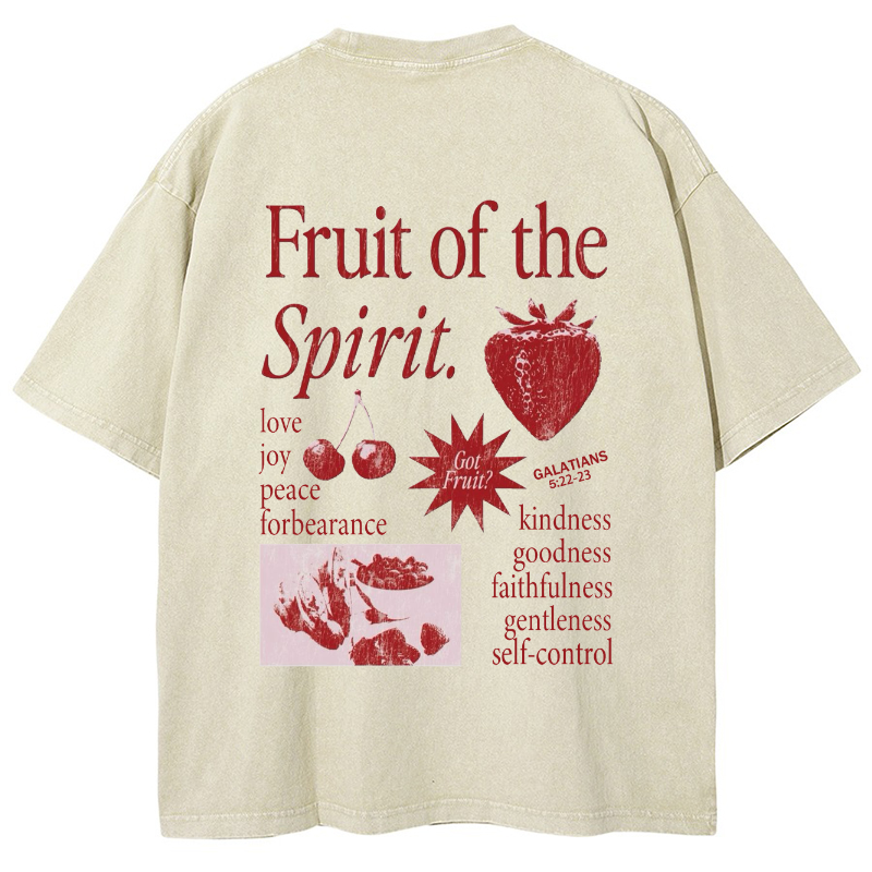 Fruit Of The Spirit Vintage Snowflake Washed T-Shirt-moweekender