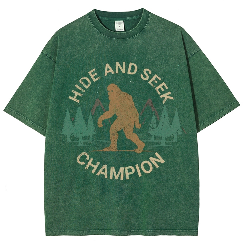 Hide And Seek Champion Vintage Snowflake Washed T-Shirt-moweekender