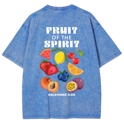 Fruit Of The Spirit Vintage Snowflake Washed T-Shirt-moweekender