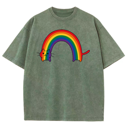 Rainbow Cat Washed Oversized T-Shirt-moweekender
