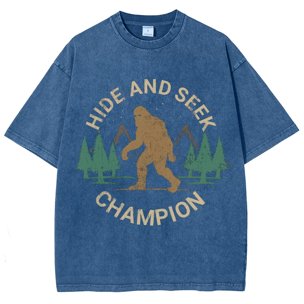 Hide And Seek Champion Vintage Snowflake Washed T-Shirt-moweekender