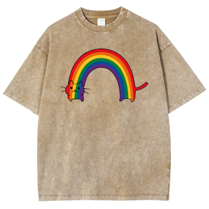 Rainbow Cat Washed Oversized T-Shirt-moweekender