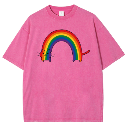 Rainbow Cat Washed Oversized T-Shirt-moweekender