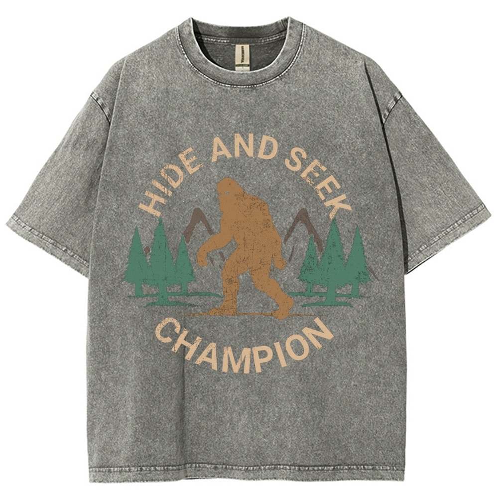 Hide And Seek Champion Vintage Snowflake Washed T-Shirt-moweekender