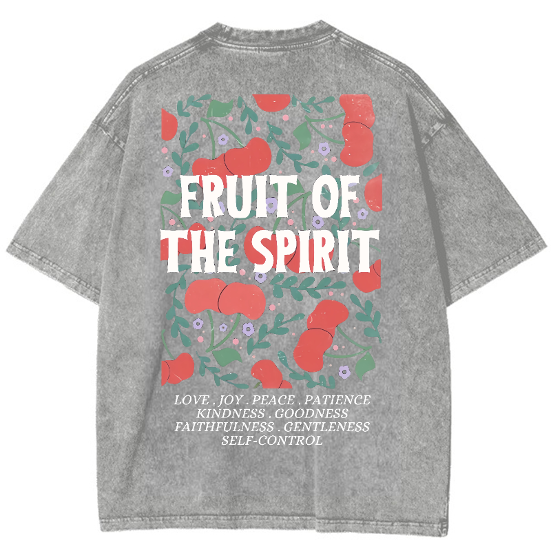 Fruit Of The Spiri Vintage Snowflake Washed T-Shirt-moweekender