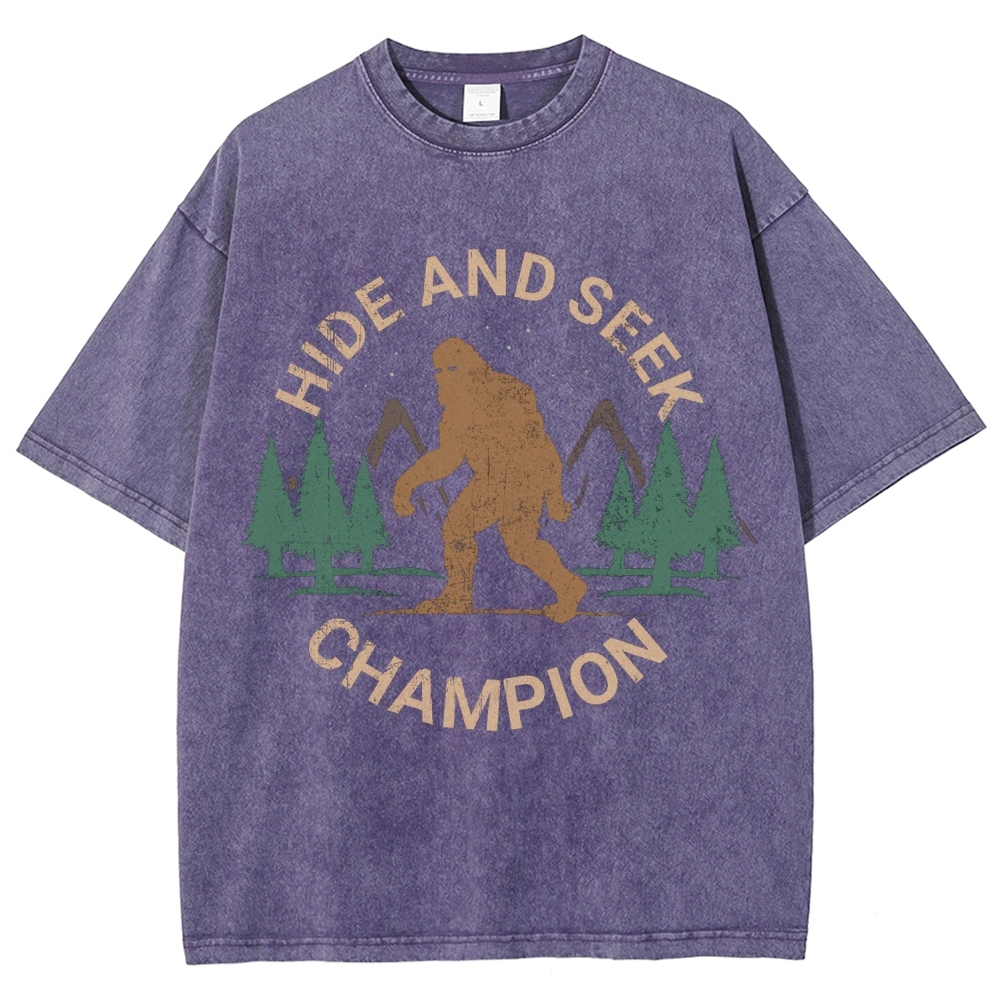 Hide And Seek Champion Vintage Snowflake Washed T-Shirt-moweekender