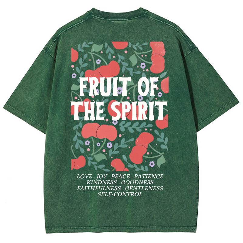 Fruit Of The Spiri Vintage Snowflake Washed T-Shirt-moweekender