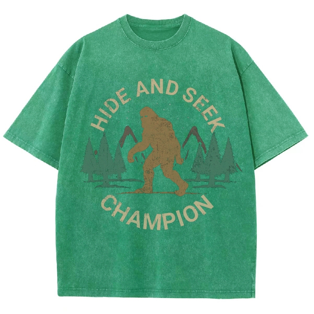 Hide And Seek Champion Vintage Snowflake Washed T-Shirt-moweekender