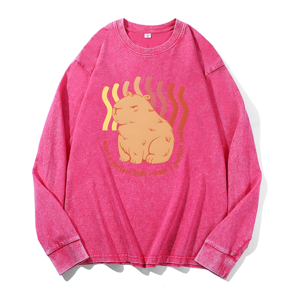 Capybara Casual Deep Washed Vintage Long Sleeves T-Shirt-moweekender