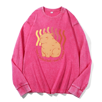 Capybara Casual Deep Washed Vintage Long Sleeves T-Shirt-moweekender