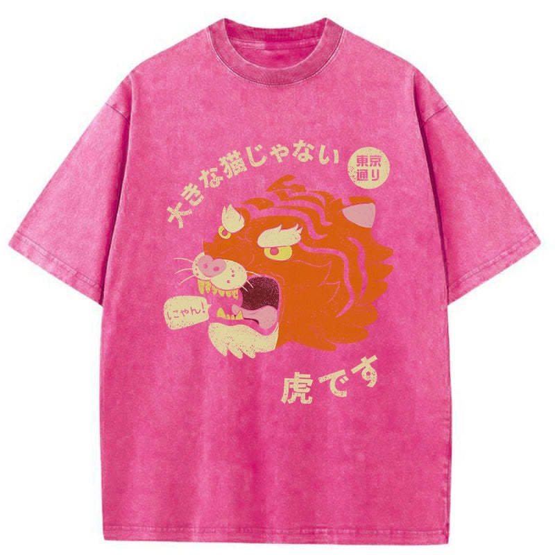 It's Not A Big Cat Washed Vintage T-Shirt-moweekender