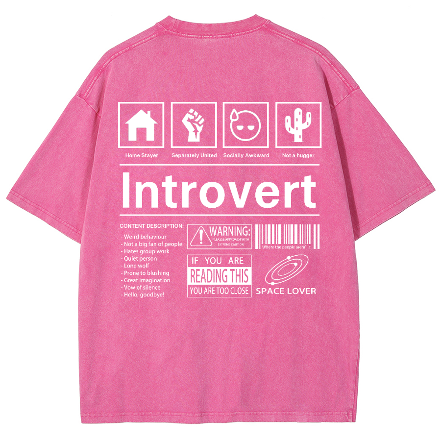 Introvert Label Wall Unisex Fit Washed Oversized T-Shirt-moweekender