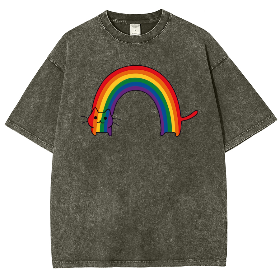 Rainbow Cat Washed Oversized T-Shirt-moweekender