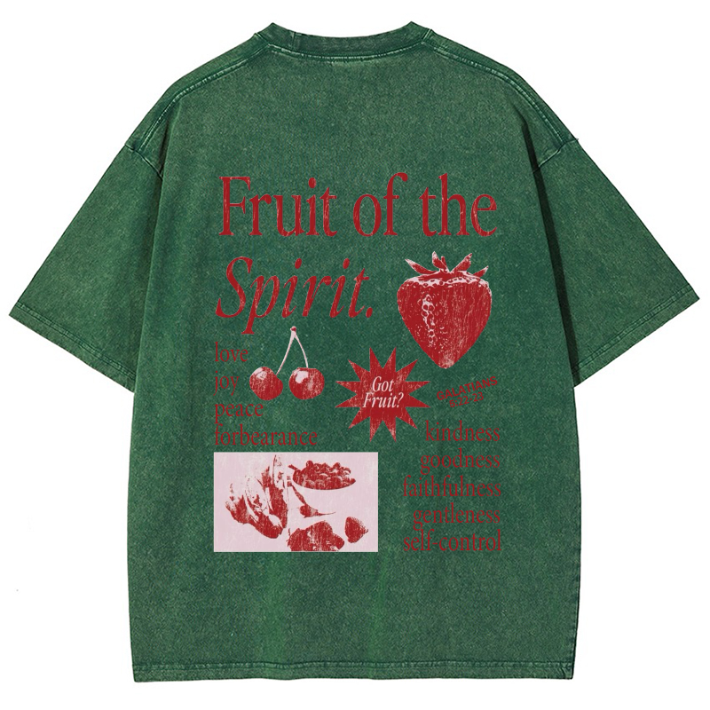 Fruit Of The Spirit Vintage Snowflake Washed T-Shirt-moweekender