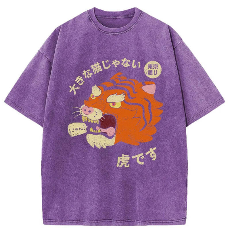 It's Not A Big Cat Washed Vintage T-Shirt-moweekender