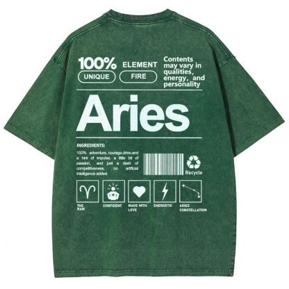 Aries Unisex Fit Washed T-Shirt