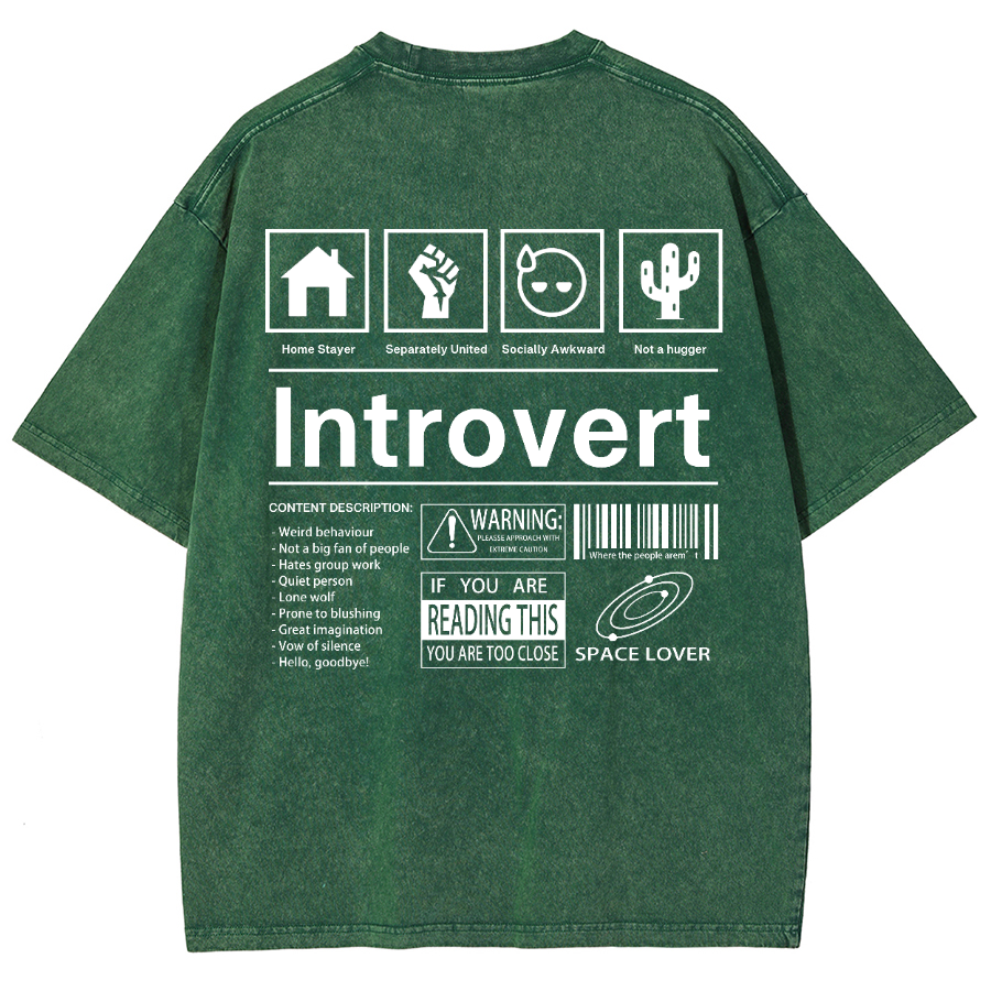 Introvert Label Wall Unisex Fit Washed Oversized T-Shirt-moweekender
