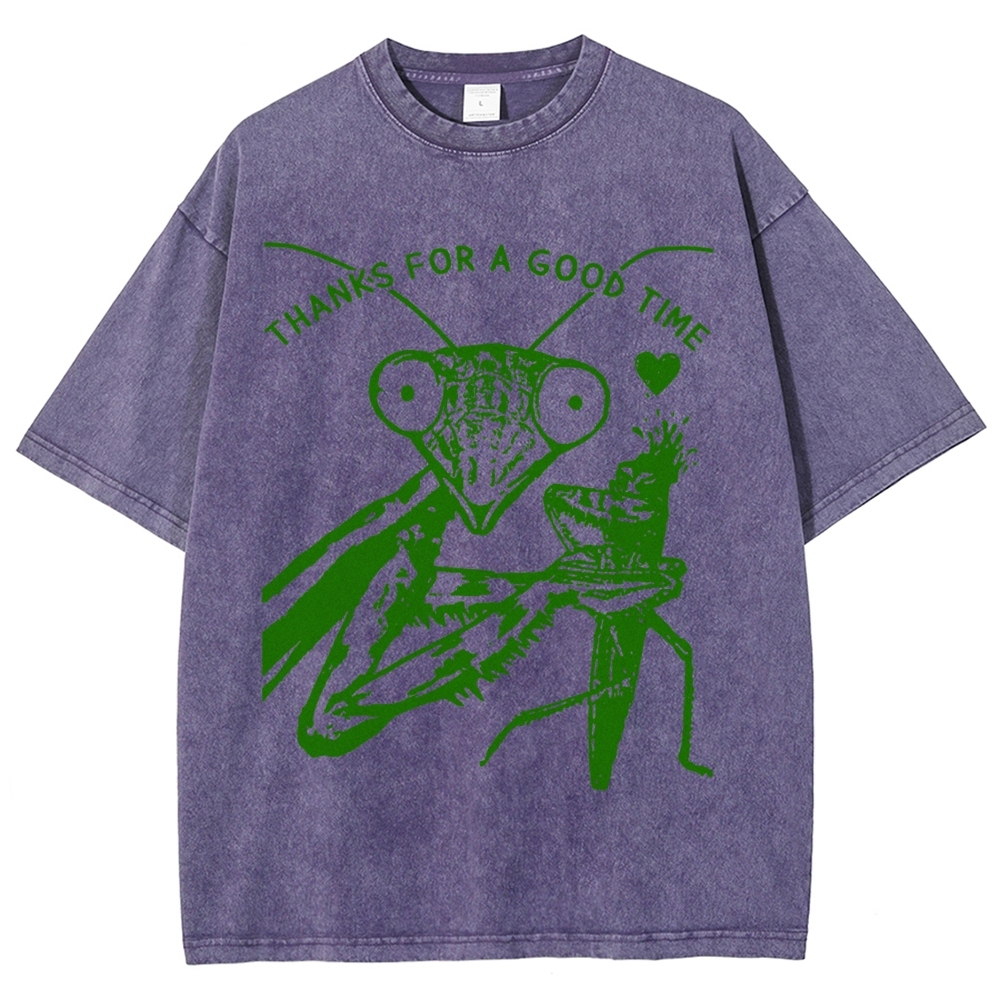 Thanks For A Good Time Vintage Snowflake Washed T-Shirt-moweekender