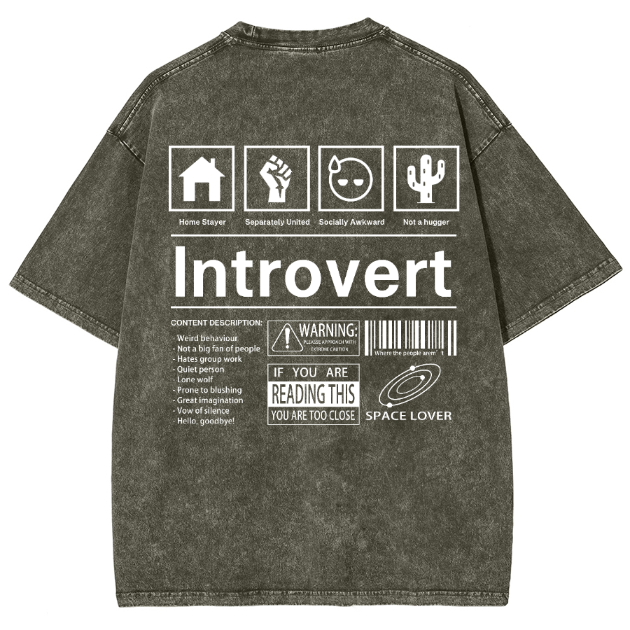 Introvert Label Wall Unisex Fit Washed Oversized T-Shirt-moweekender