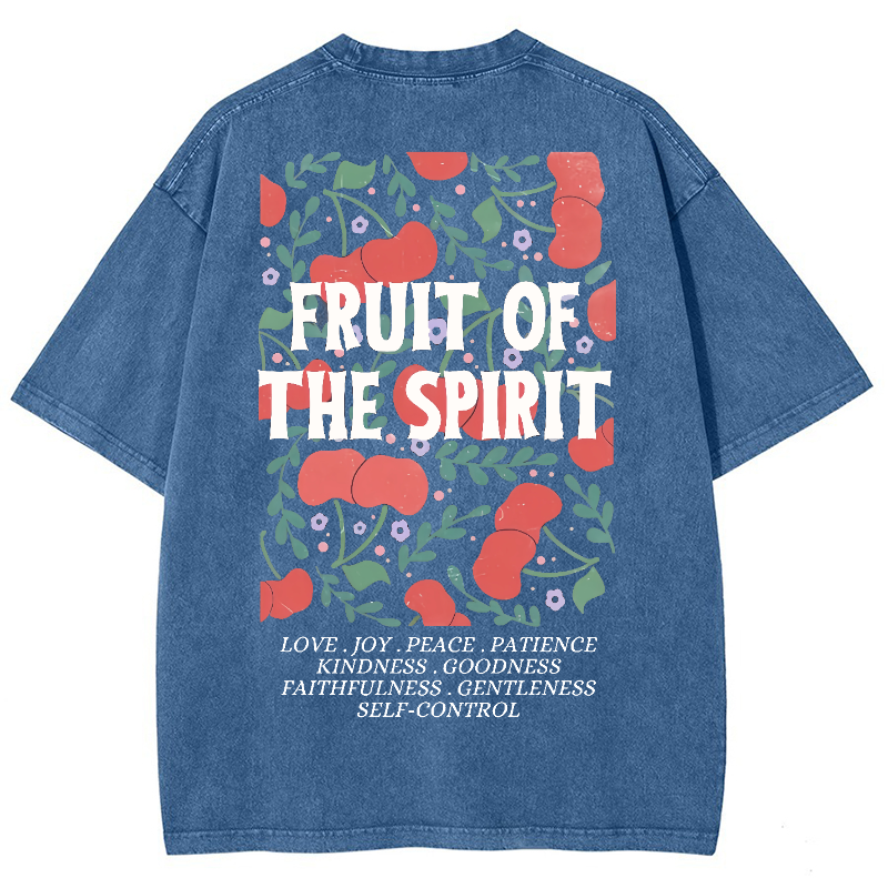 Fruit Of The Spiri Vintage Snowflake Washed T-Shirt-moweekender