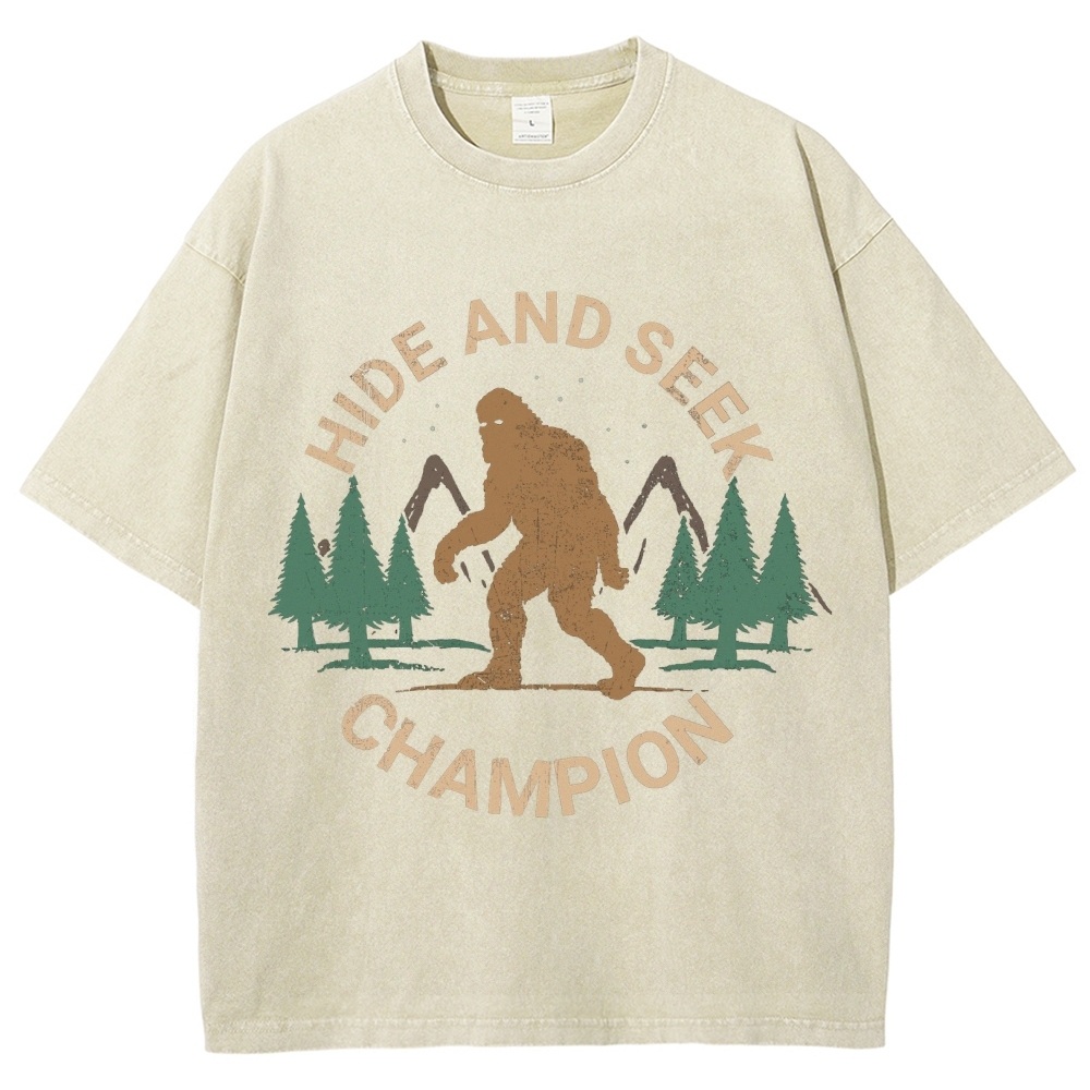 Hide And Seek Champion Vintage Snowflake Washed T-Shirt-moweekender