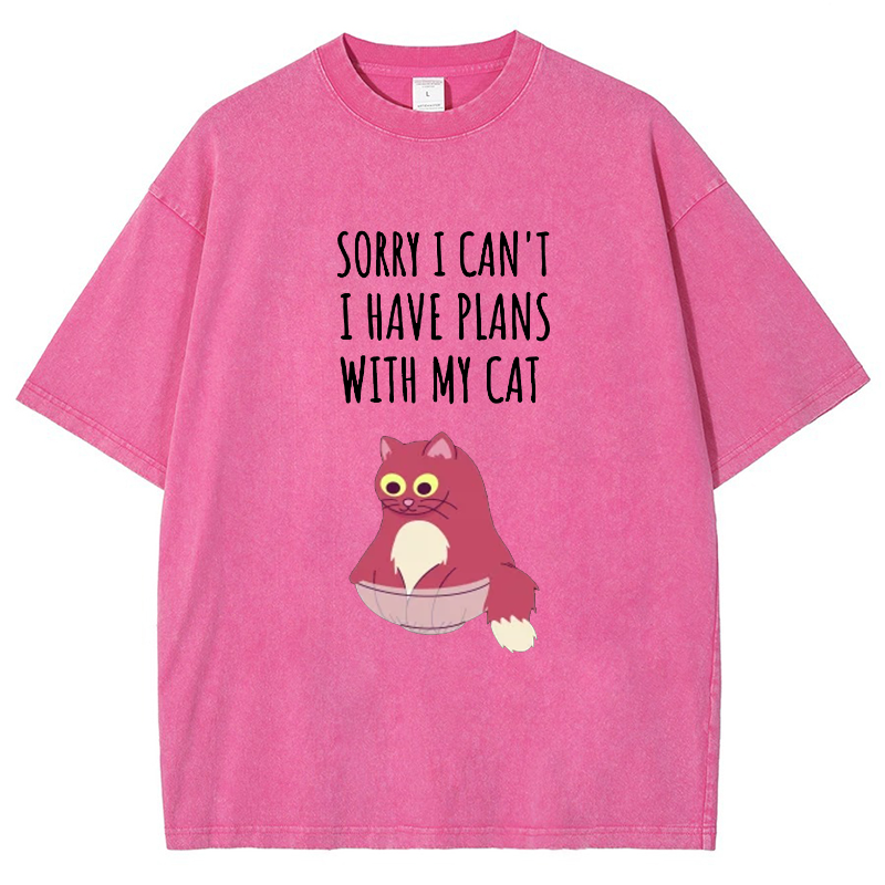 Sorry I Can't I Have Plans With My Cat Vintage Snowflake Washed T-Shirt-moweekender