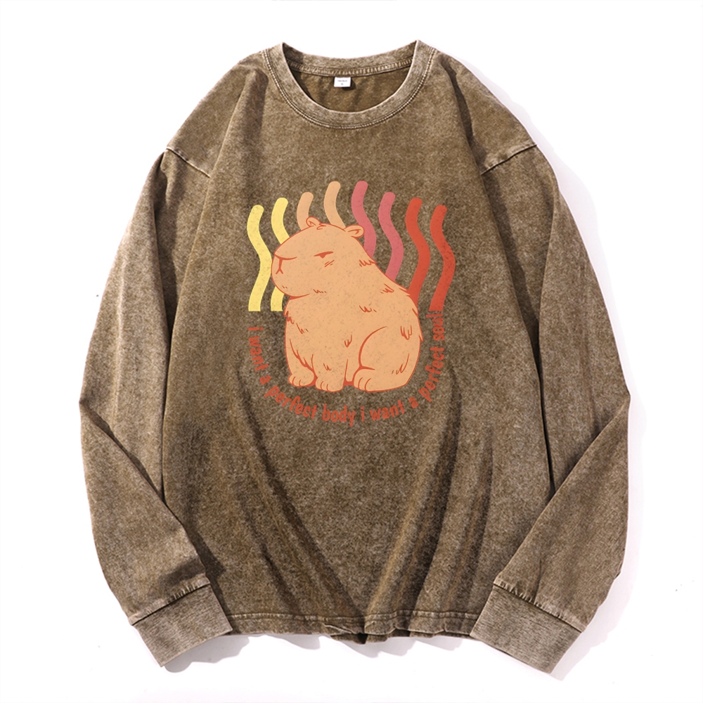 Capybara Casual Deep Washed Vintage Long Sleeves T-Shirt-moweekender
