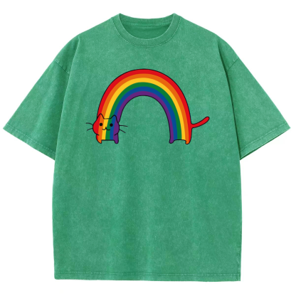 Rainbow Cat Washed Oversized T-Shirt-moweekender