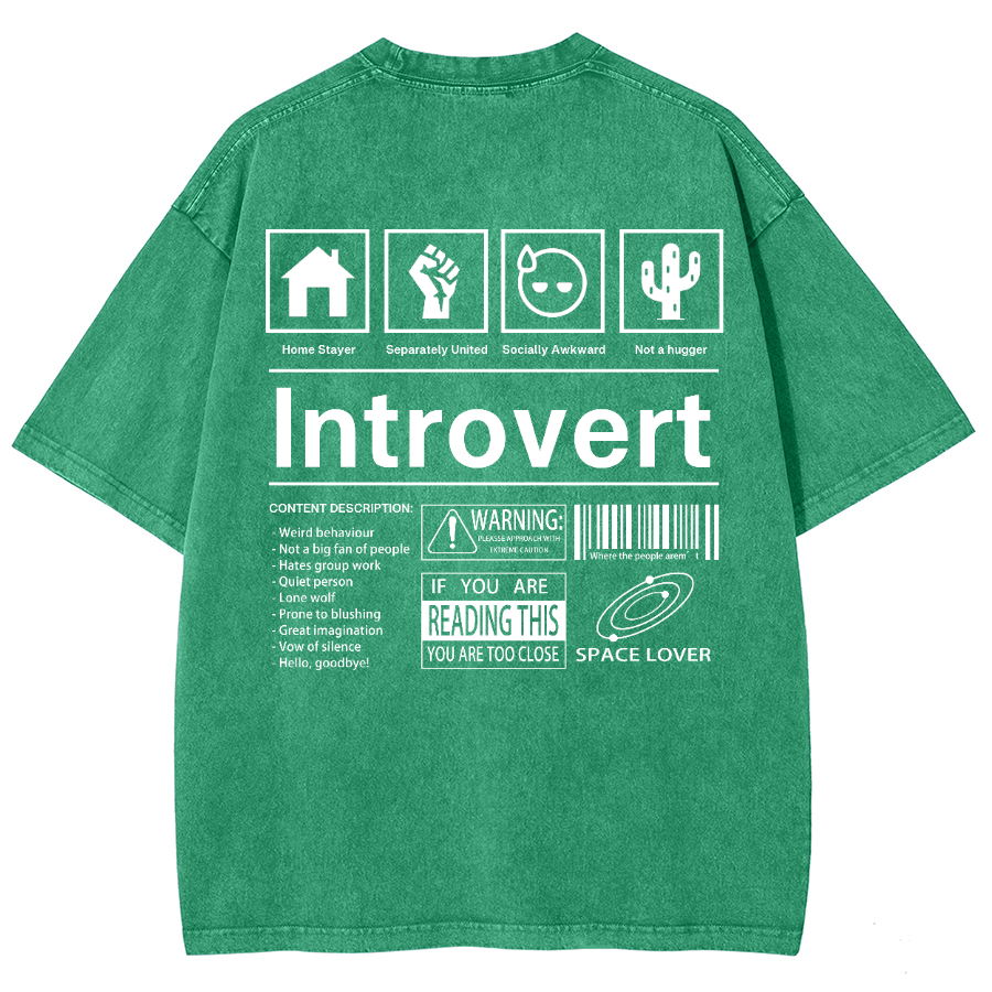 Introvert Label Wall Unisex Fit Washed Oversized T-Shirt-moweekender