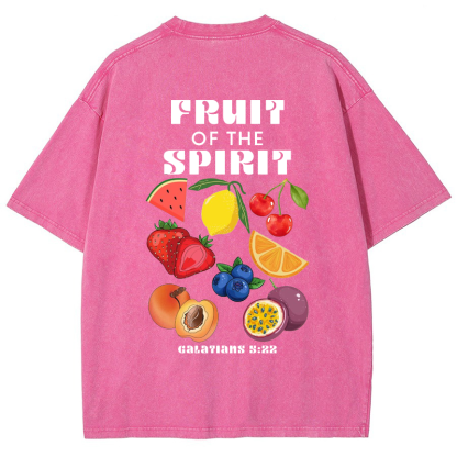 Fruit Of The Spirit Vintage Snowflake Washed T-Shirt-moweekender