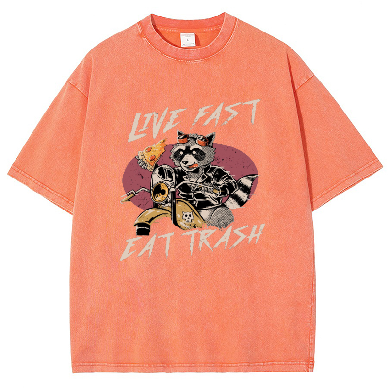 Live Fast Eat Trash Vintage Snowflake Washed T-Shirt-moweekender