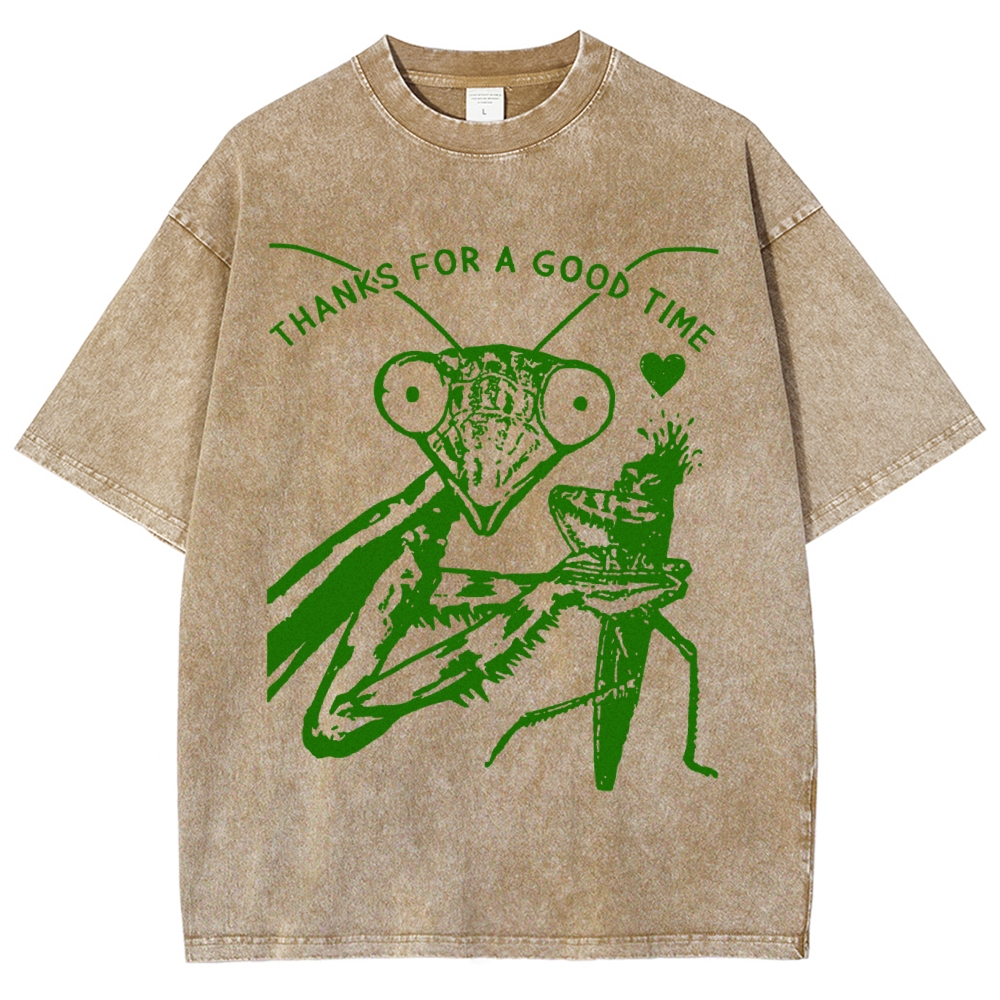 Thanks For A Good Time Vintage Snowflake Washed T-Shirt-moweekender