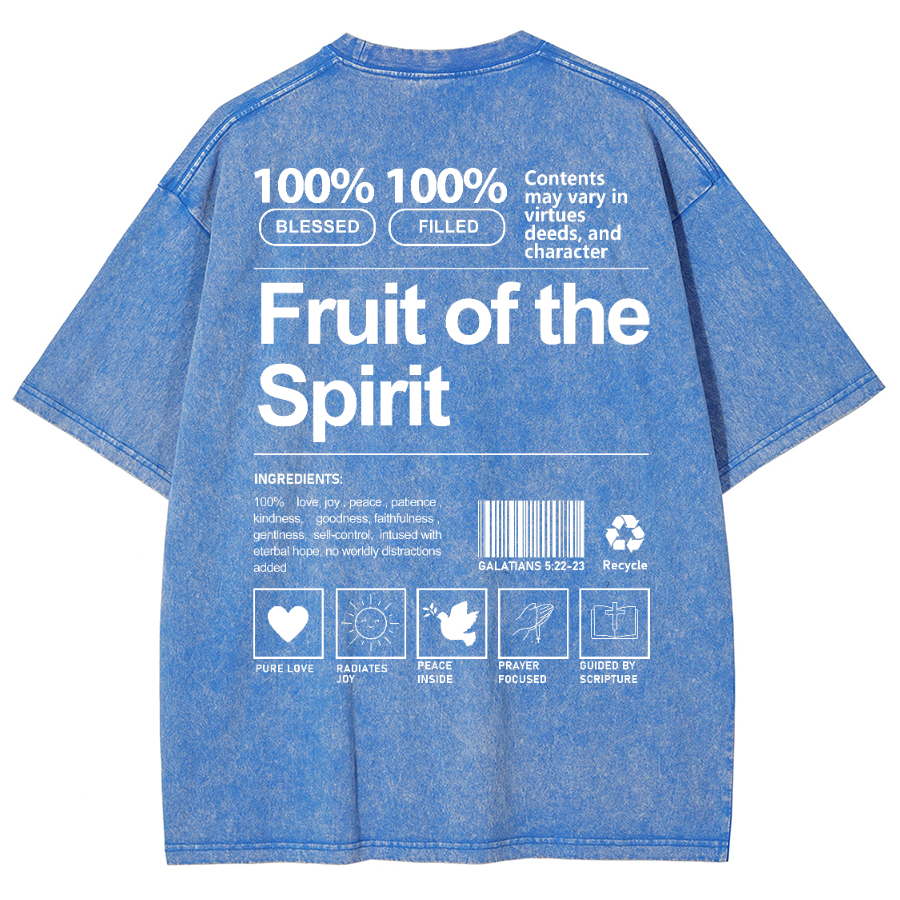 Fruit Of The Spirit Unisex Fit Washed Oversized T-Shirt-moweekender