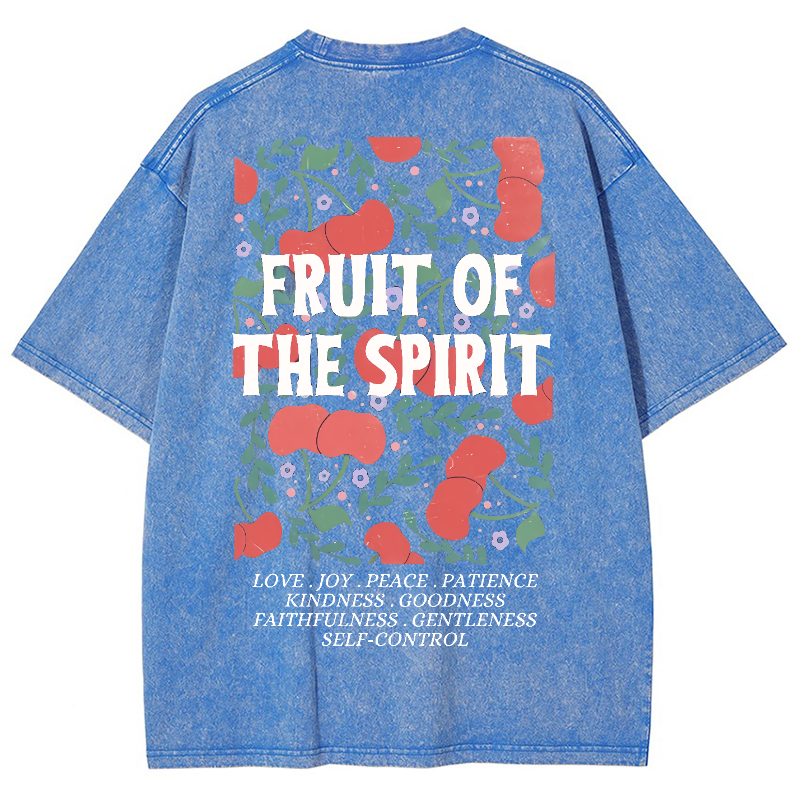 Fruit Of The Spiri Vintage Snowflake Washed T-Shirt-moweekender