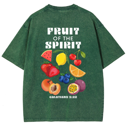 Fruit Of The Spirit Vintage Snowflake Washed T-Shirt-moweekender