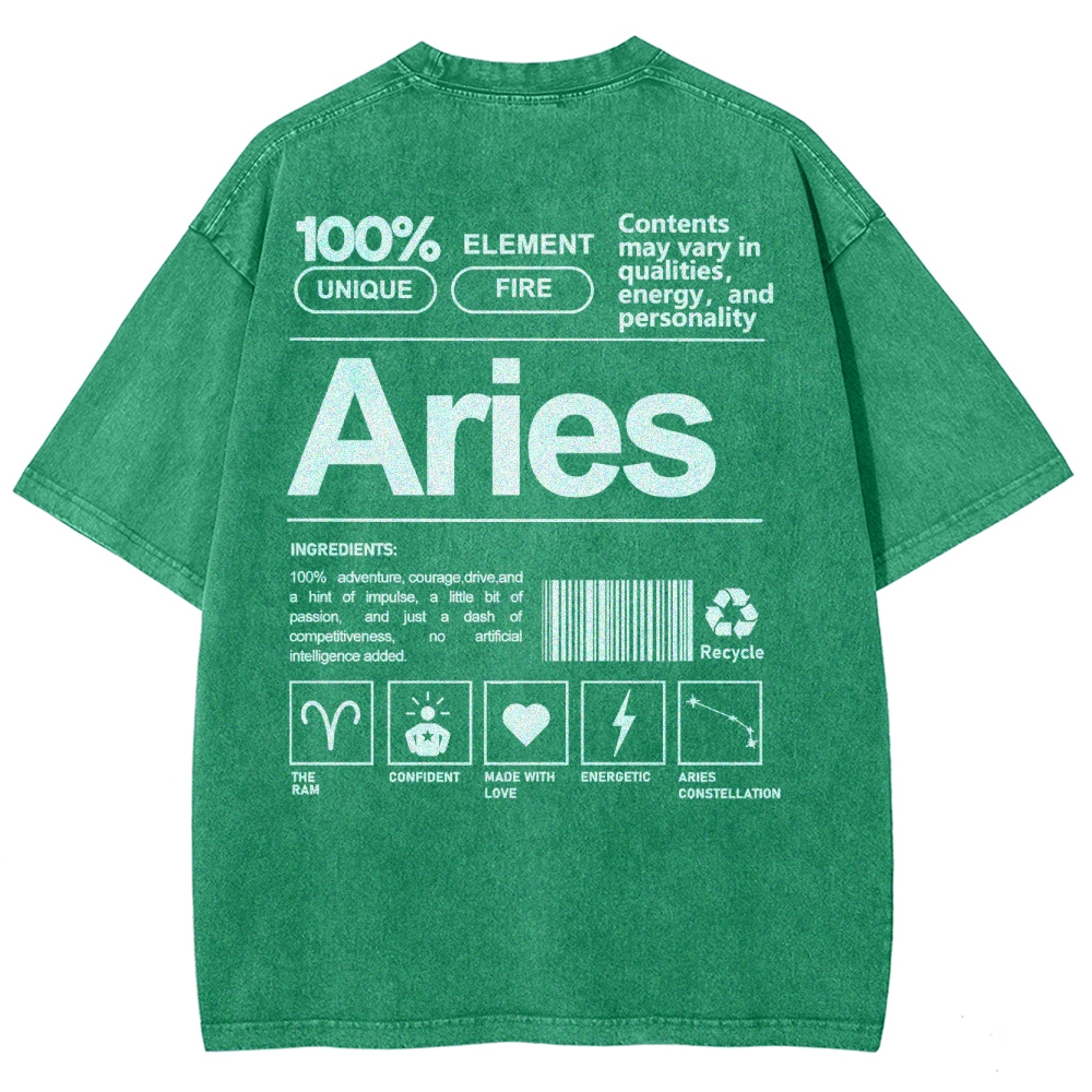 Aries Unisex Fit Washed T-Shirt