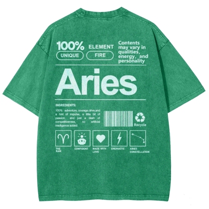 Aries Unisex Fit Washed T-Shirt