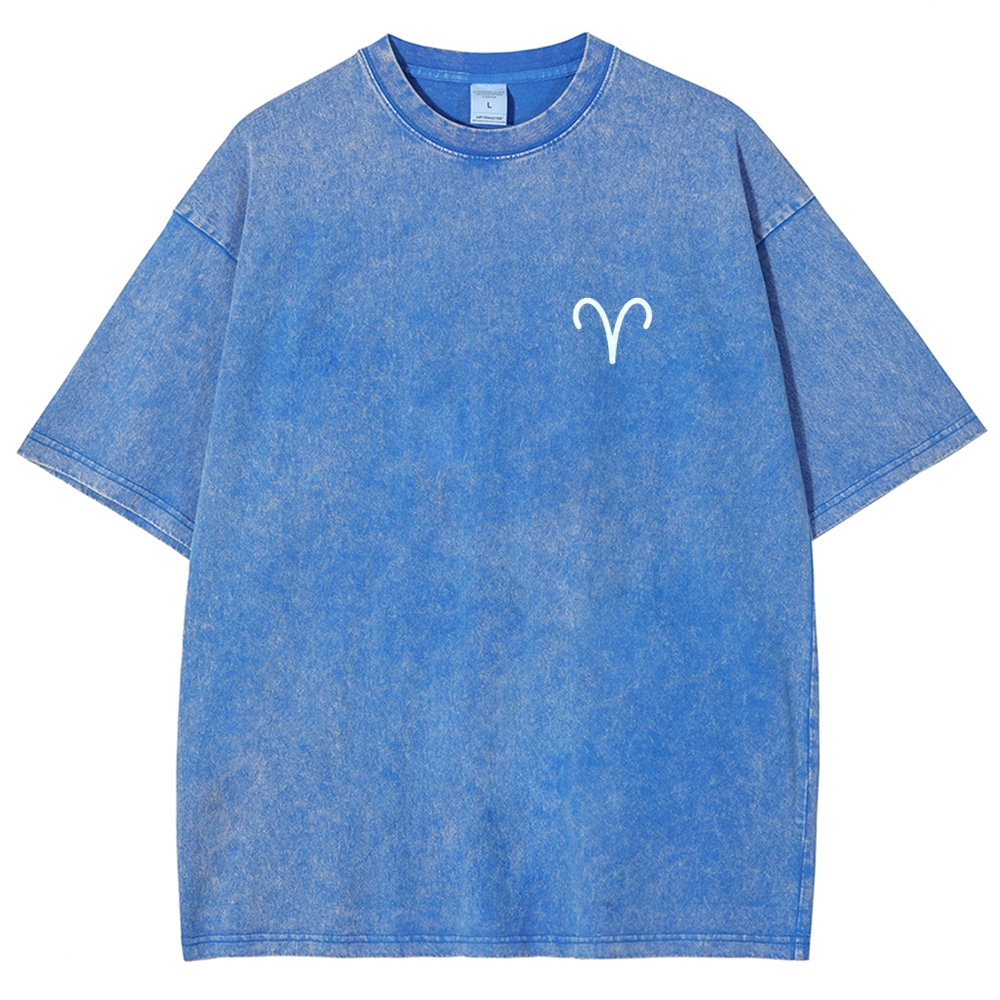 Aries Unisex Fit Washed T-Shirt