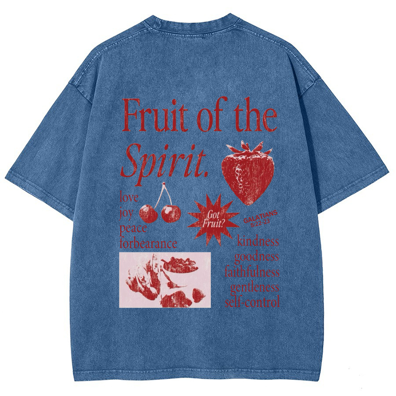 Fruit Of The Spirit Vintage Snowflake Washed T-Shirt-moweekender